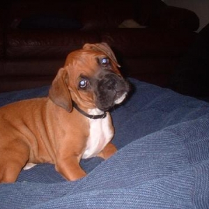 Too cute for words!