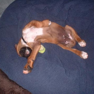 Out Cold!