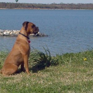 Sadie at the Solomons