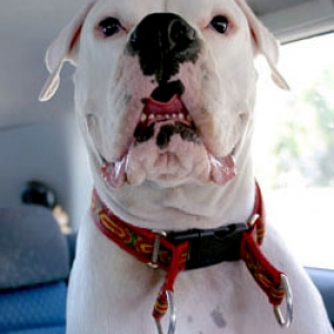 Anxious Avra...where is my dad?