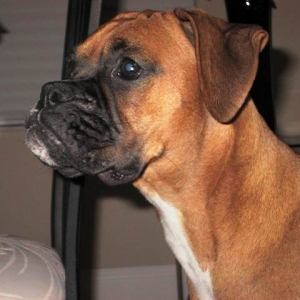 Sweet girl!