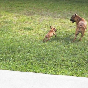 Come get me!!!