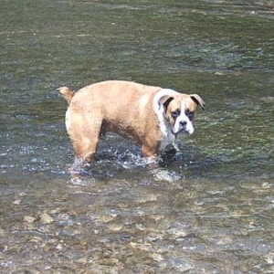 cooling down