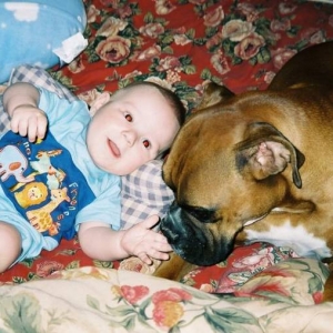 The baby guard.