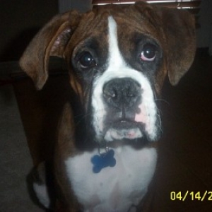 Does this face get me a cookie?