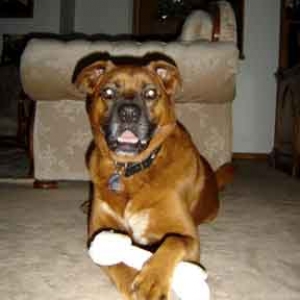 Duke