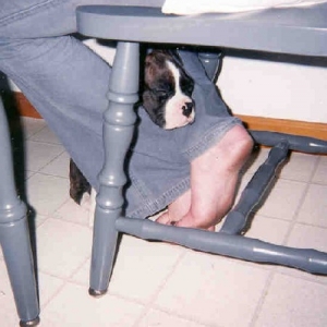 Funny Place to Sleep!