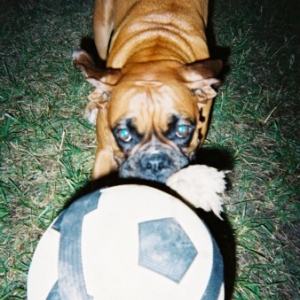 My Ball!