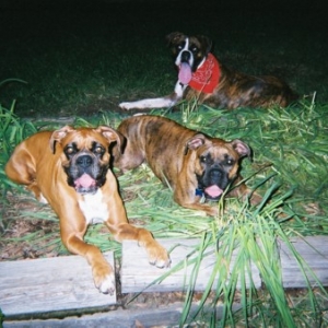 Okay, so I made them pose.