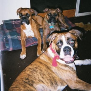 Okay, so I made them pose (AGAIN)