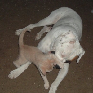 Darryl is getting the best of Dottie!!