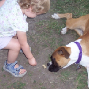 Camdynn giving Roxie a cookie