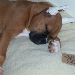 He is cute......when he is asleep!!