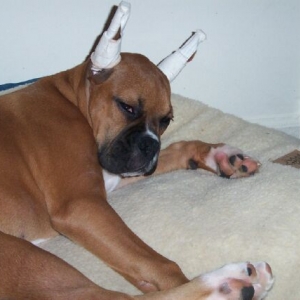 Do you mind....I am trying to sleep!!
