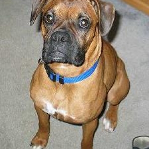 Introducing Gracie!