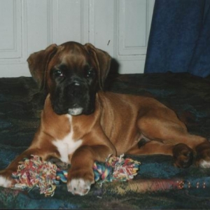 Axel with his toy