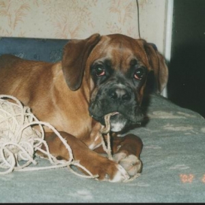 Axel with his favourite toy.