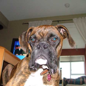 Should have called him Bubbles