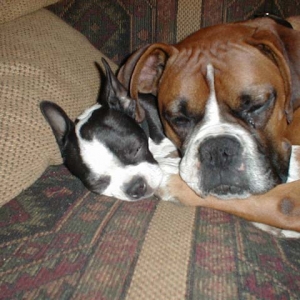 Snuggle pals