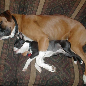 I like my big brother!