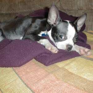 Our new baby, Abby!