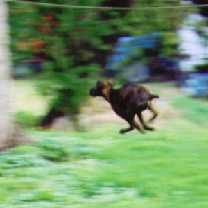 Faster than a Speeding Bullet