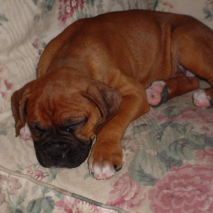 Sleeping on the couch