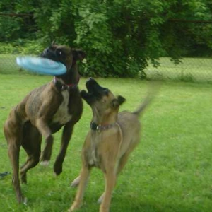 give me that frisbee