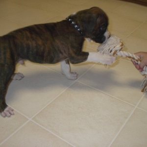 Rope Play