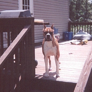 Max