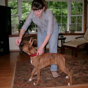Gunnar May 27 2004