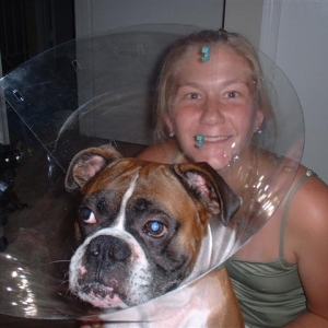 Silly E collar