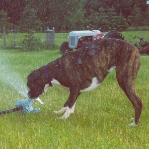 Getting a Drink.