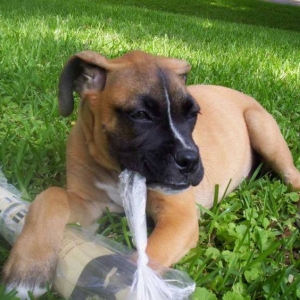 Mikey & His Paper
