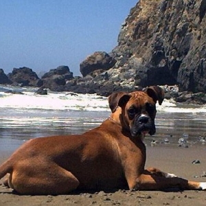 Shayna at the beach