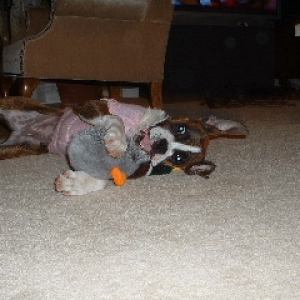 sabre 9 months