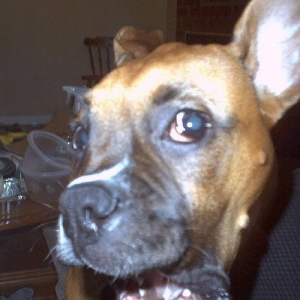 Let me tell you a thing or two