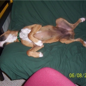 How can this be comfortable