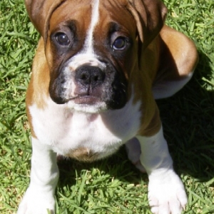 cute_baby_jed