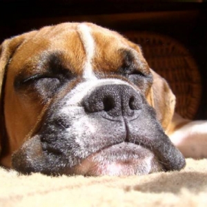 napping