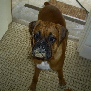 sandy_mooch