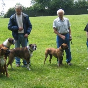 B.C. Boxer Picnic 2004