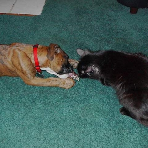 Will you share?
