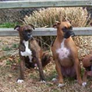 boo&brauner