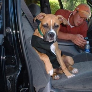 Car Ride!