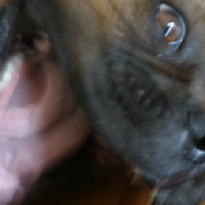 I am yawning!!!!!!!!!