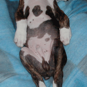 Catchin' some Zzzzz's