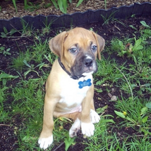 Monty 7 weeks
