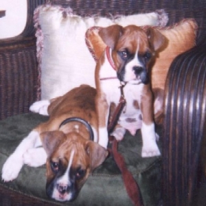 Ali and Frasier