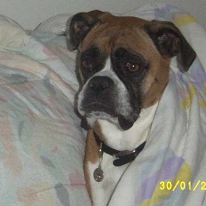 My mommy & daddy make sure I'm warm!